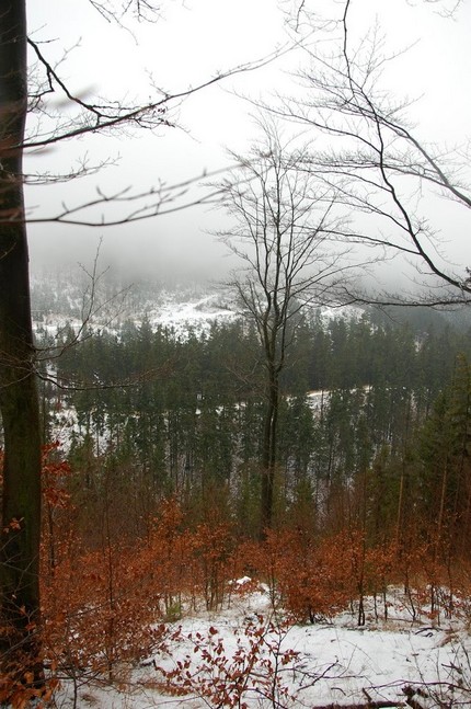 Pogranicze jesienno-zimowe w Górach Kamiennych