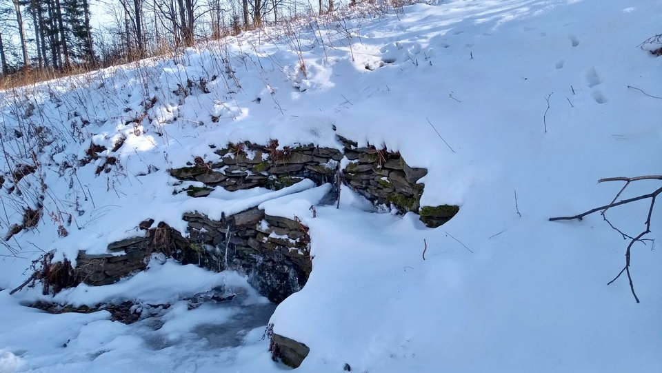 Zlate Hory – niedzielna wędrówka w poszukiwaniu zimy