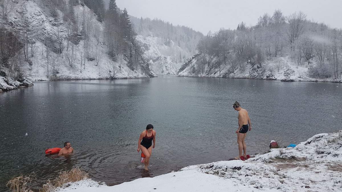 Zimowi pływacy w Górach Kamiennych