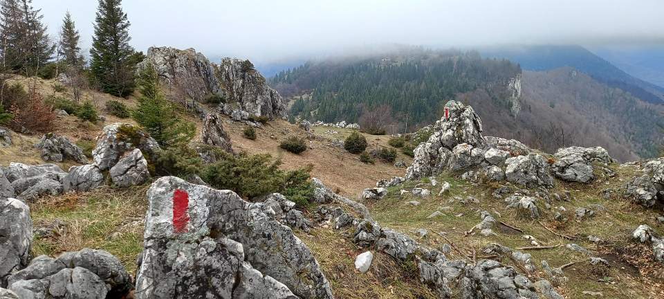 Czerwonym szlakiem z Branu do Zarneşti poprzez Magura Mare